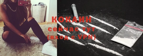 крисы Армянск
