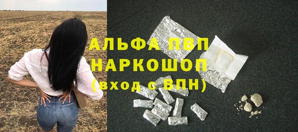 крисы Армянск
