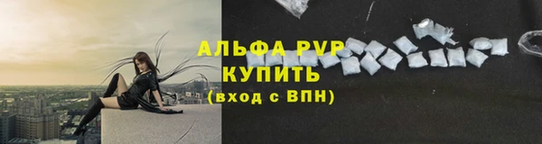 крисы Армянск