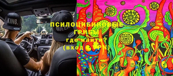 крисы Армянск